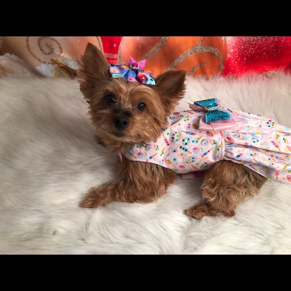 Meet your Posher, Asha